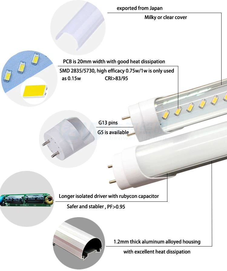 t5 t8 LED lamp