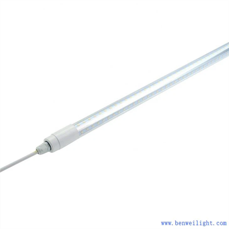 Vai cāļi var redzēt UV gaismu