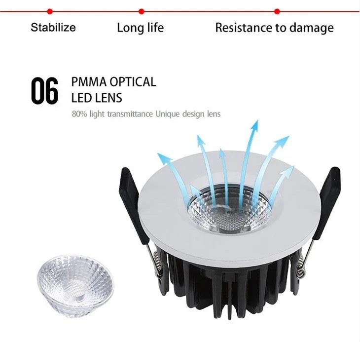 Ledgaismas lede 12w