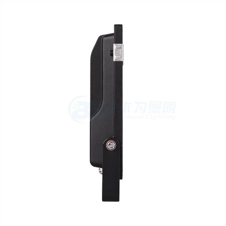 Motion Security Light
