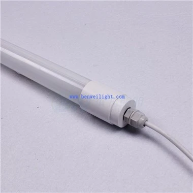 Led lampas dējējvistām