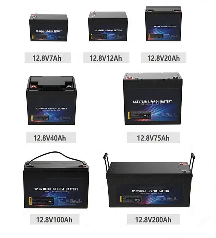 12 volt 100 amp hour battery
