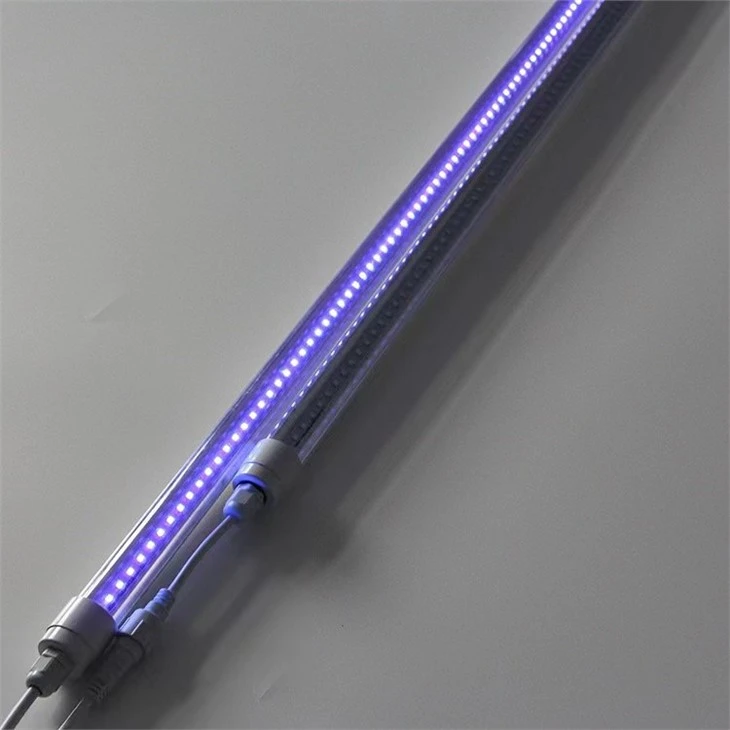 UV gaisma nogalina odus