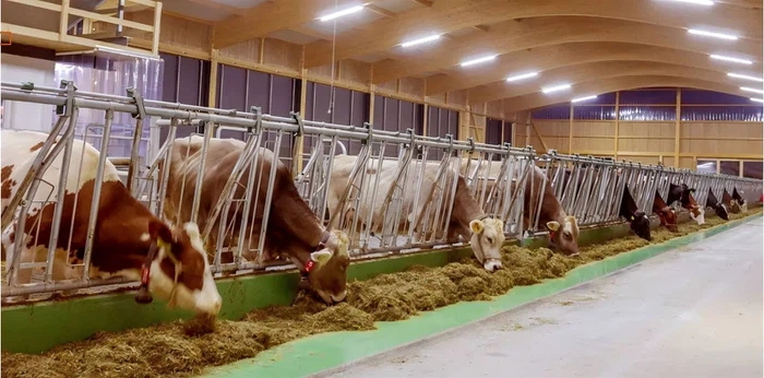 waterproof T8 LED tube light for cattle growth1 waterproof T8 LED tube light for cattle growth1