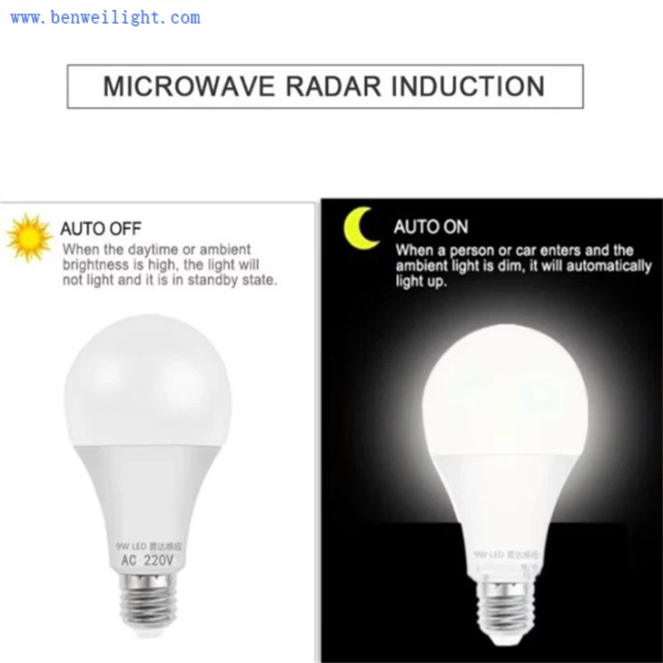 motion sensor light