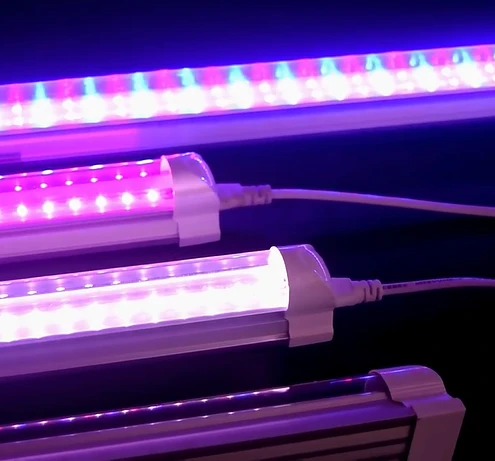 grow lights for seedlings