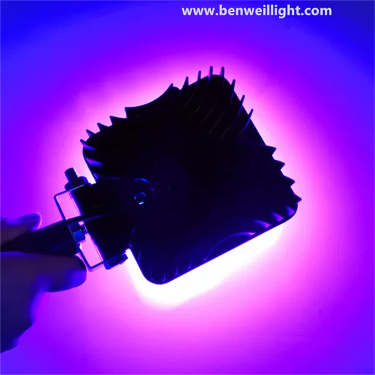 Professional Quick-drying Handheld UV Lamp factory