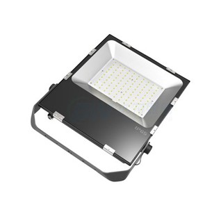 LED prožektors 50W 12V DC