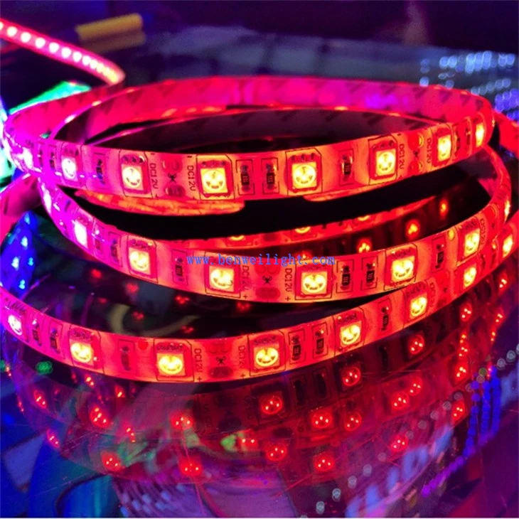 SMD5050 Flexible Rope Light (4)