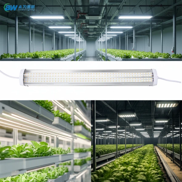 T20 aptumšojams dārzeņu Led Grow lineārs savienojams IP65 apgaismojums 20-88W